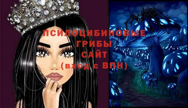 а пвп мука Баксан