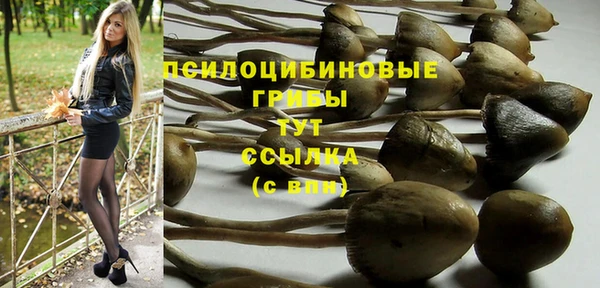 шишки Балабаново