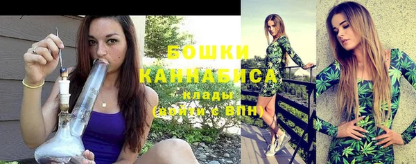 шишки Балабаново