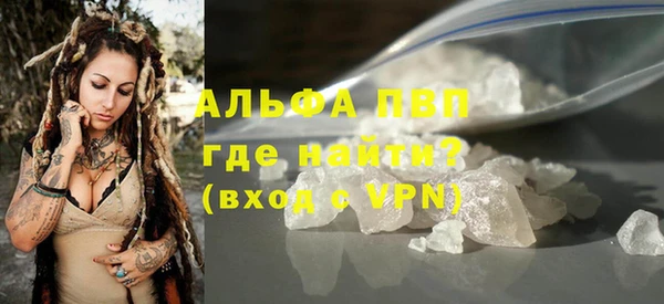 стаф Балахна