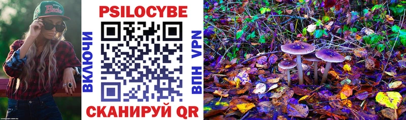 Галлюциногенные грибы Magic Shrooms  как найти наркотики  Белинский 
